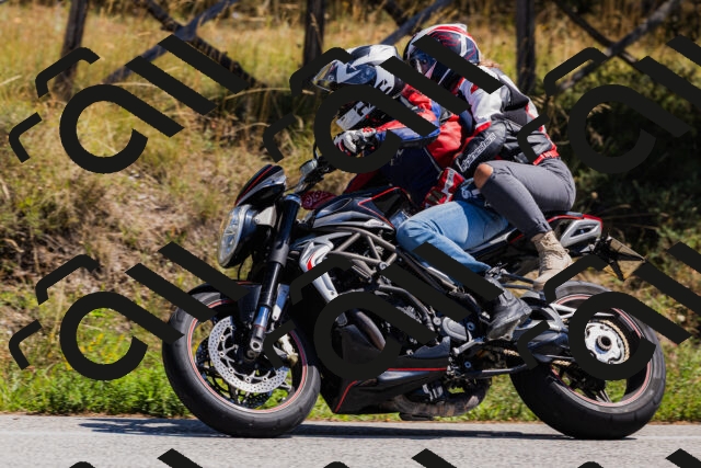 202509061310-_04A6069_c3