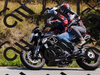 202509061310-_04A6069_c3