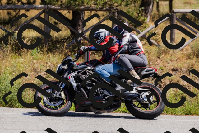 202509061310-_04A6070_c3