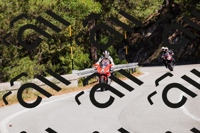 202509061310-_04A6071_c3