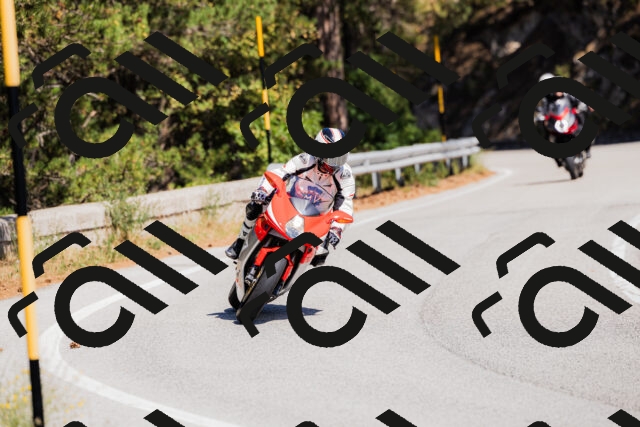 202509061310-_04A6072_c3