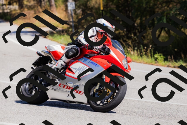 202509061310-_04A6073_c3