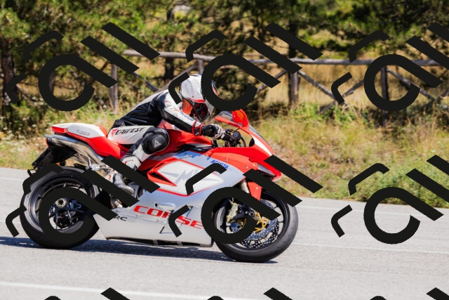 202509061310-_04A6074_c3