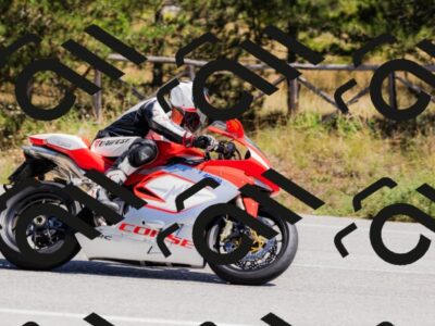 202509061310-_04A6074_c3