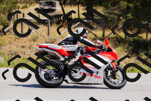 202509061310-_04A6075_c3