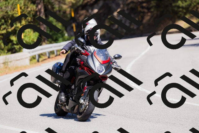 202509061310-_04A6076_c3