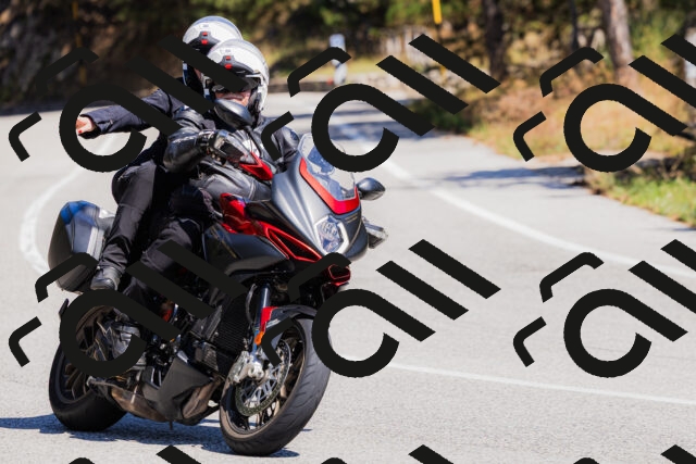 202509061310-_04A6077_c3