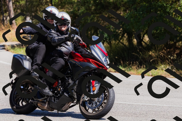 202509061310-_04A6078_c3