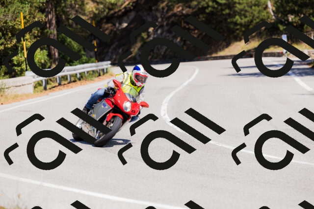 202509061310-_04A6082_c3