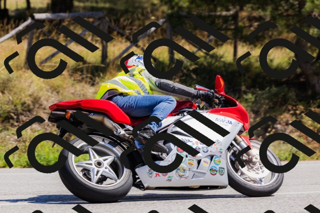 202509061310-_04A6086_c3