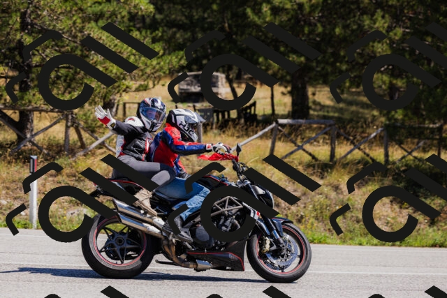 202509061311-_04A6092_c3