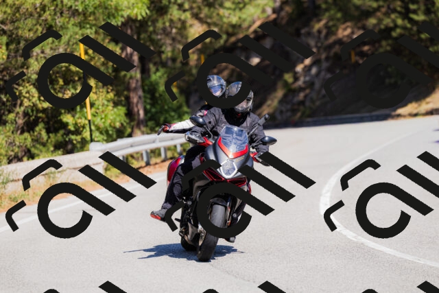 202509061311-_04A6093_c3