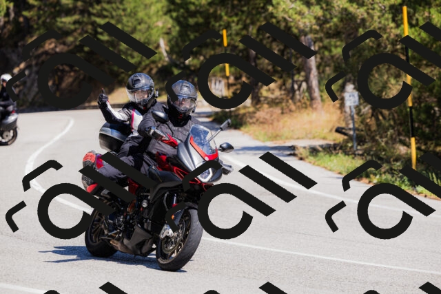 202509061311-_04A6095_c3