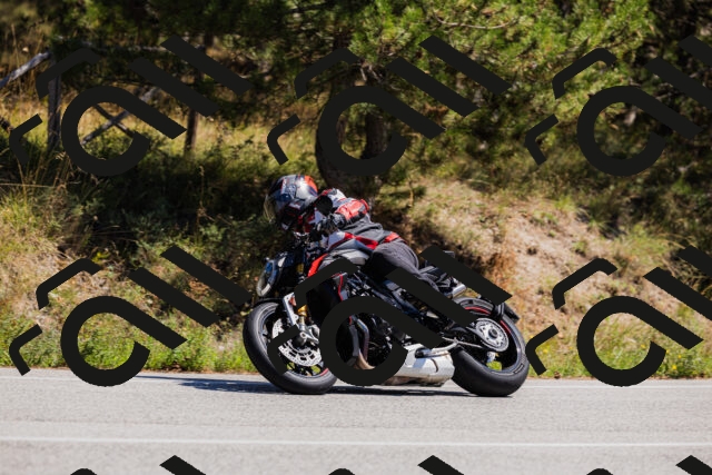 202509061311-_04A6100_c3