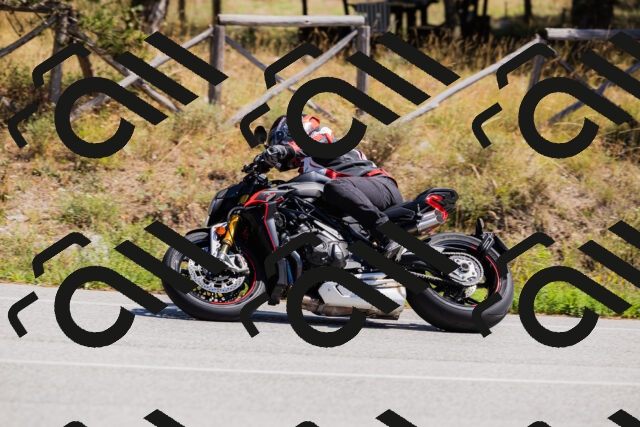 202509061311-_04A6101_c3