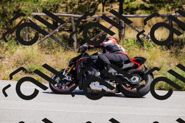 202509061311-_04A6102_c3