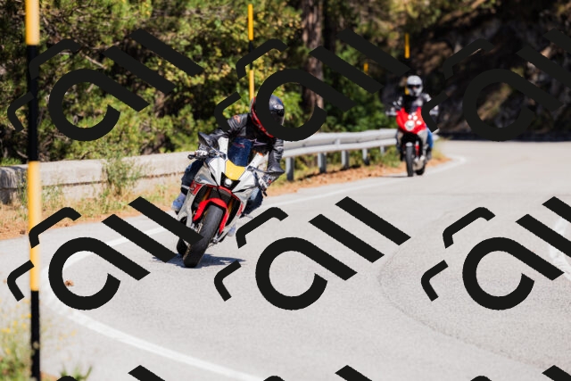 202509061311-_04A6103_c3