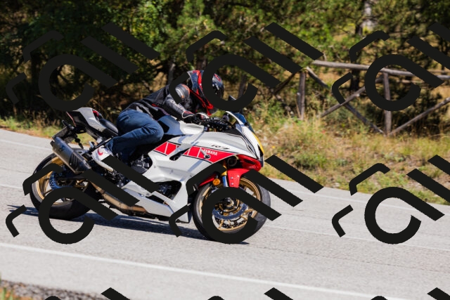 202509061311-_04A6105_c3