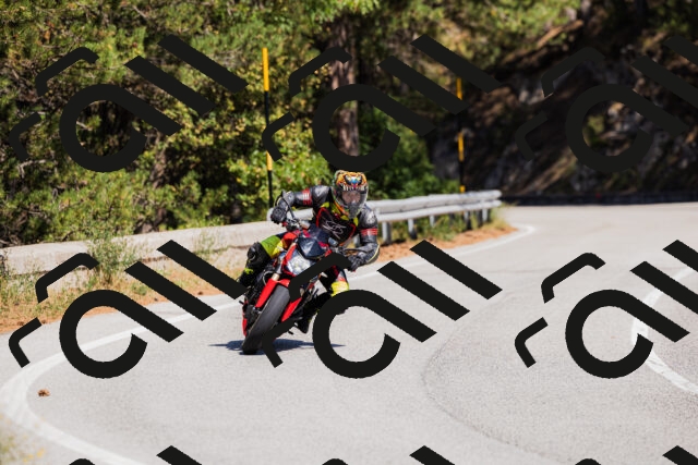 202509061312-_04A6106_c3