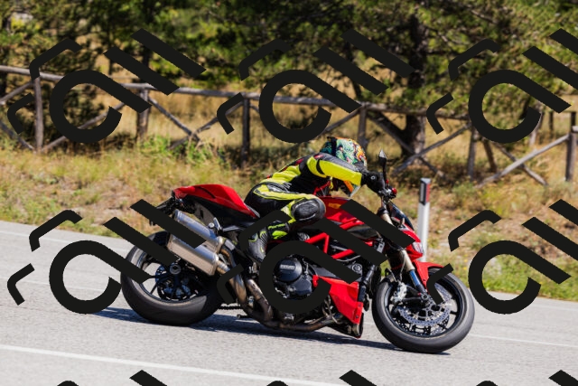 202509061312-_04A6109_c3