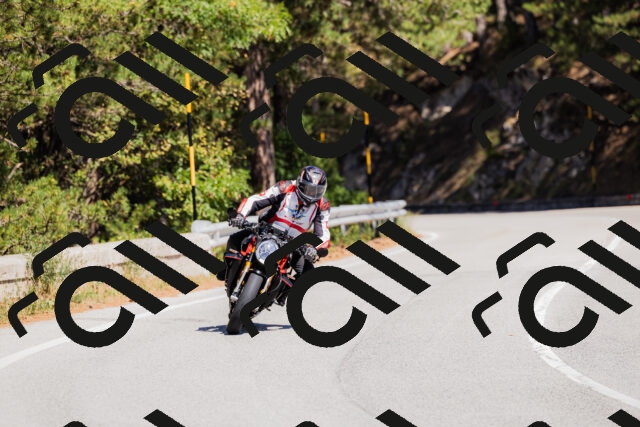 202509061312-_04A6111_c3