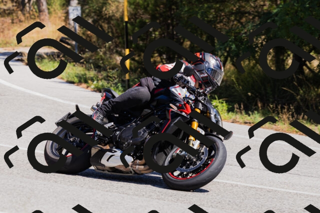 202509061312-_04A6113_c3