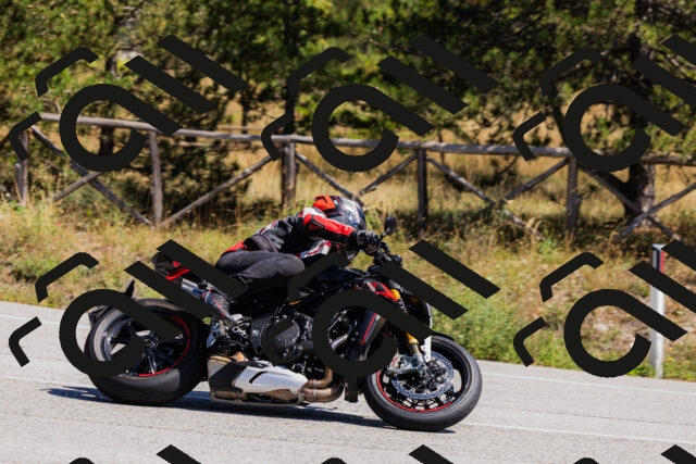 202509061312-_04A6114_c3