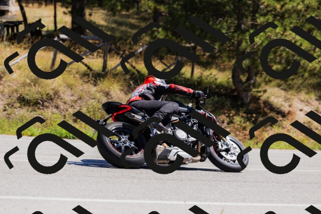 202509061312-_04A6115_c3