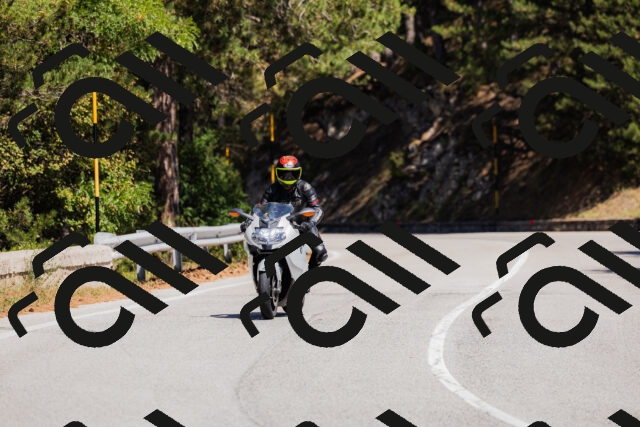 202509061313-_04A6116_c3