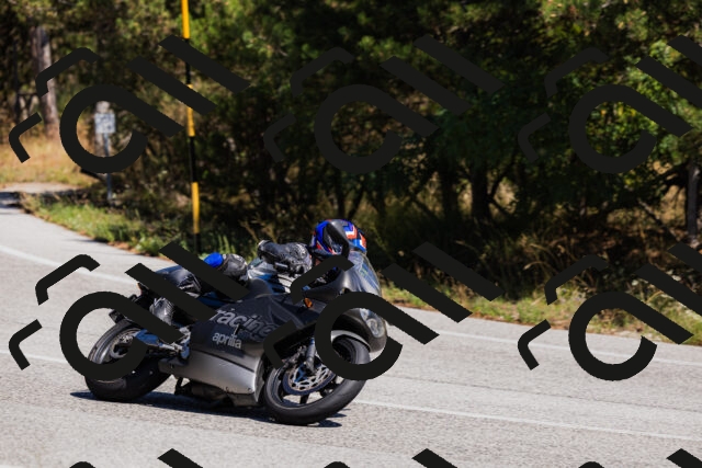 202509061313-_04A6123_c3