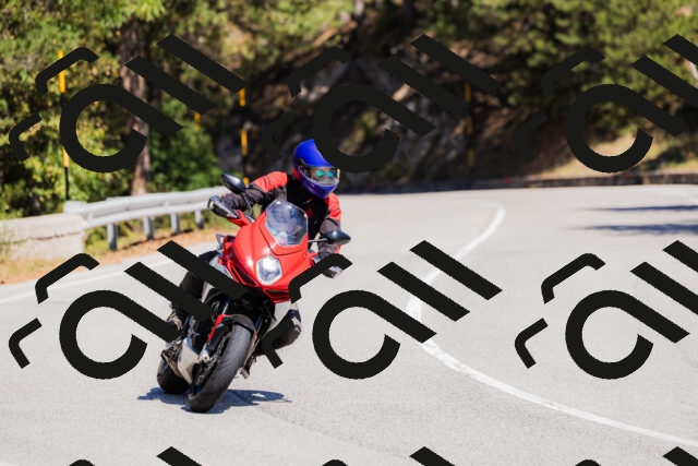 202509061313-_04A6127_c3