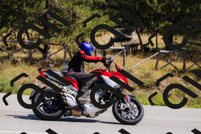 202509061313-_04A6131_c3