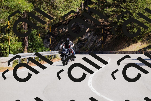 202509061314-_04A6132_c3