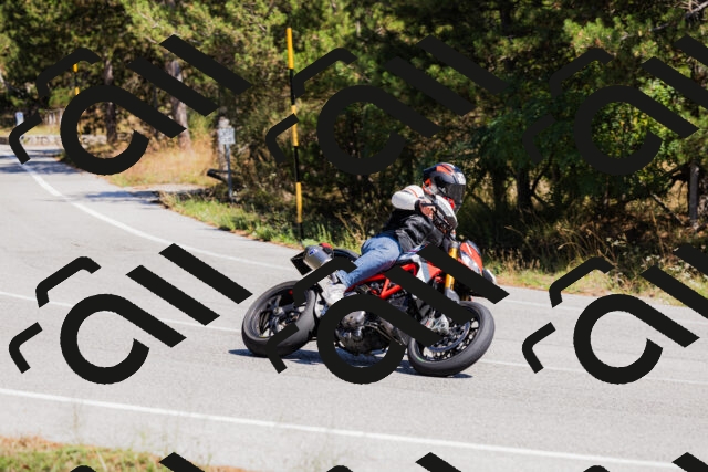 202509061314-_04A6136_c3