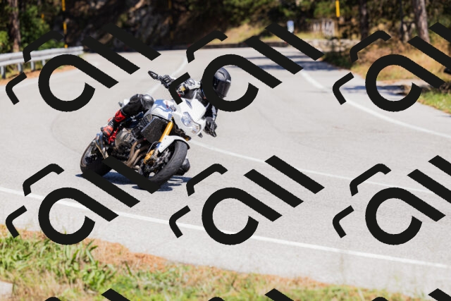 202509061315-_04A6139_c3