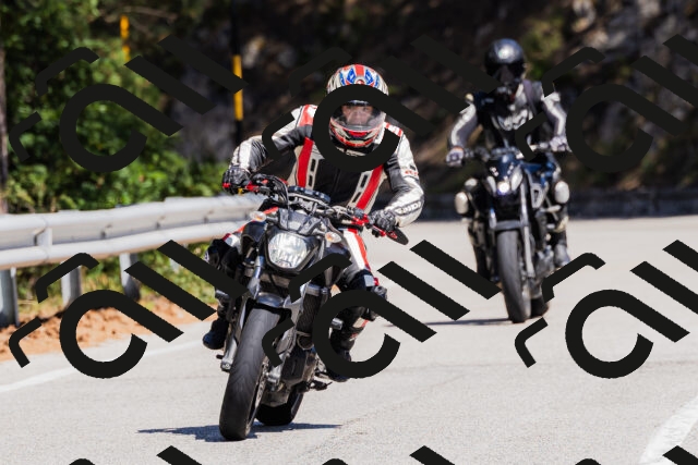 202509061316-_04A6142_c3