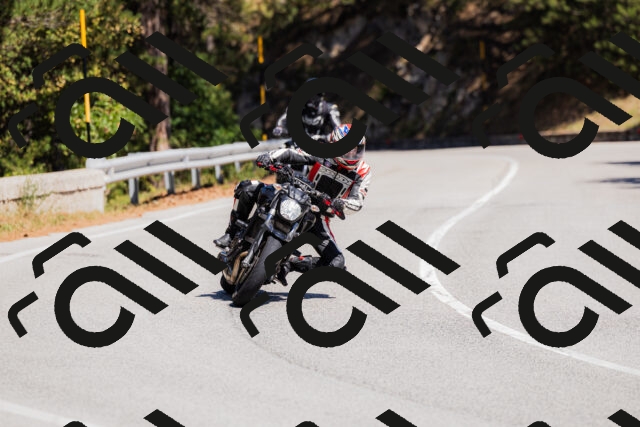 202509061316-_04A6143_c3