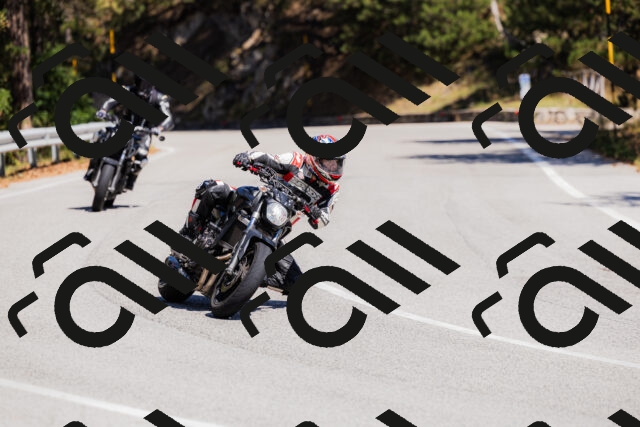 202509061316-_04A6144_c3