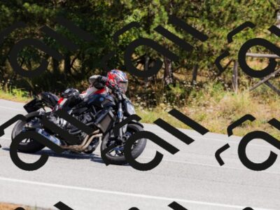 202509061316-_04A6146_c3