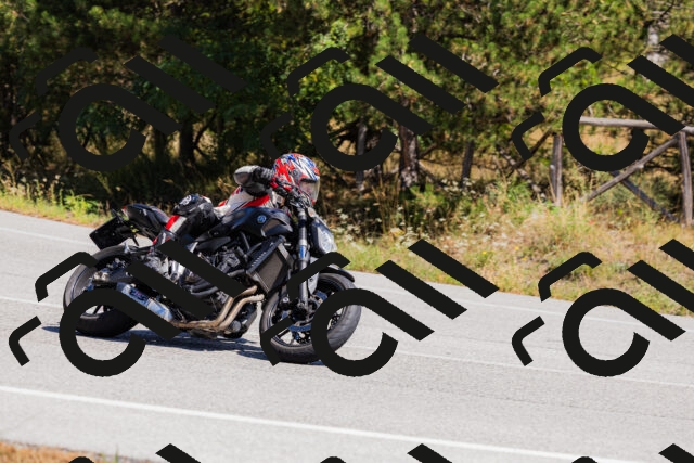 202509061316-_04A6146_c3