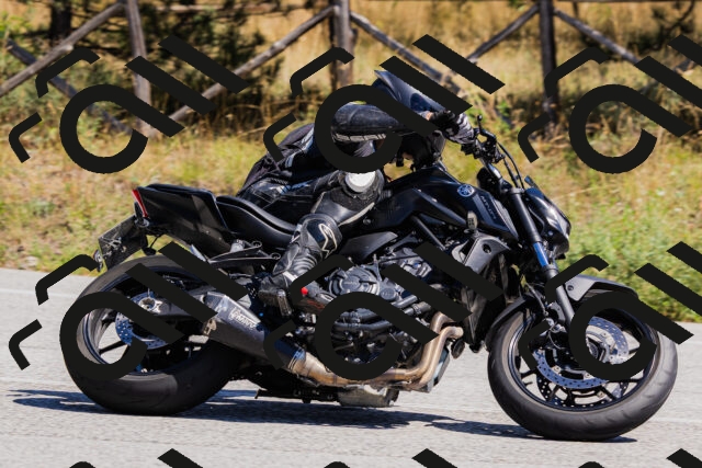 202509061316-_04A6148_c3