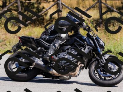 202509061316-_04A6148_c3