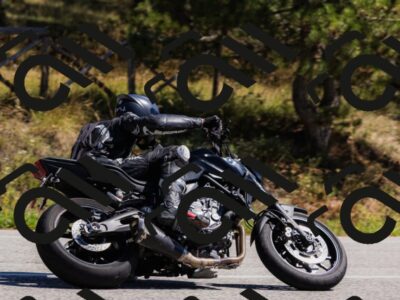 202509061316-_04A6149_c3