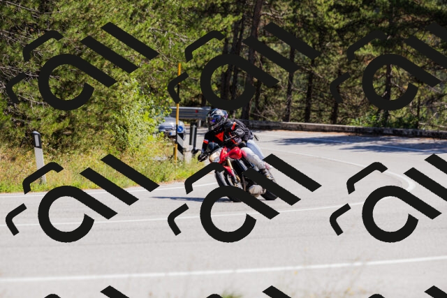 202509061317-_04A6151_c3