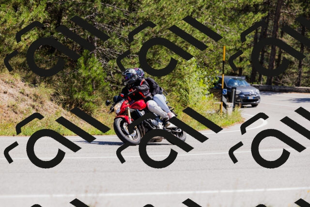 202509061317-_04A6152_c3