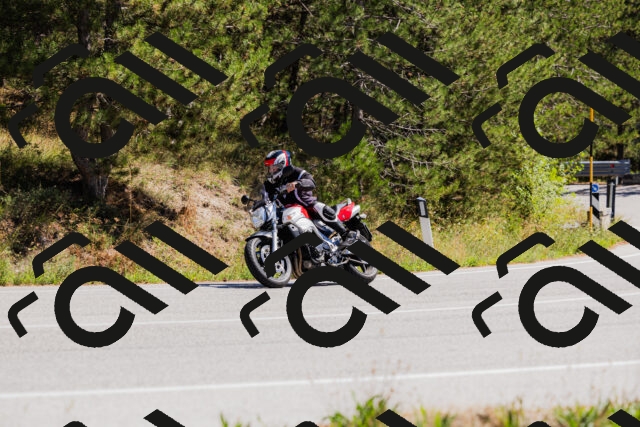 202509061317-_04A6156_c3