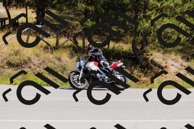 202509061317-_04A6157_c3