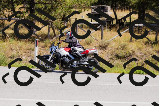 202509061317-_04A6158_c3