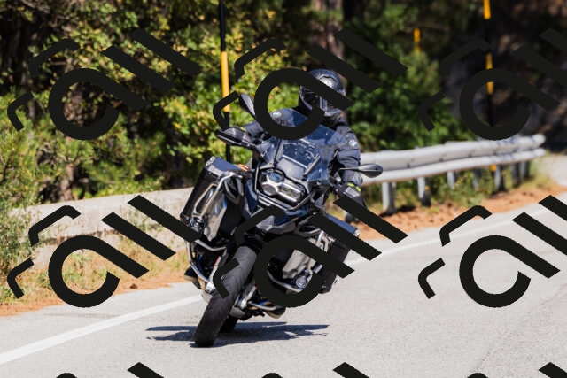 202509061319-_04A6159_c3