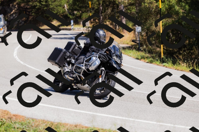 202509061319-_04A6161_c3